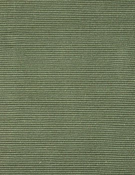 Solid Hunter Green Flatweave Eco Cotton Rug - 2' x 4'